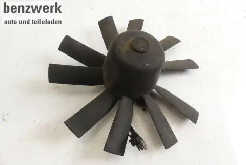 Article OELK