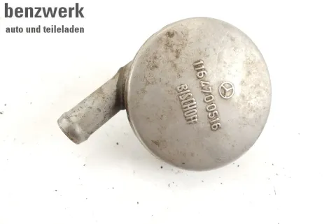 Article MGWE